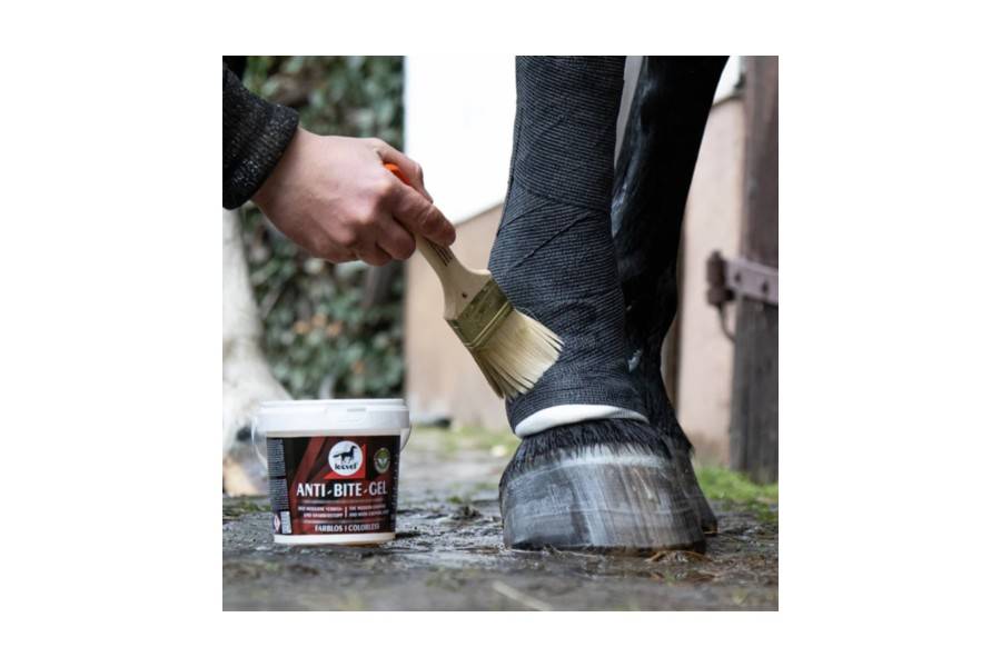 Antimordeduras Gel Leovet | Equestrian | Calvet Animales y Plantas