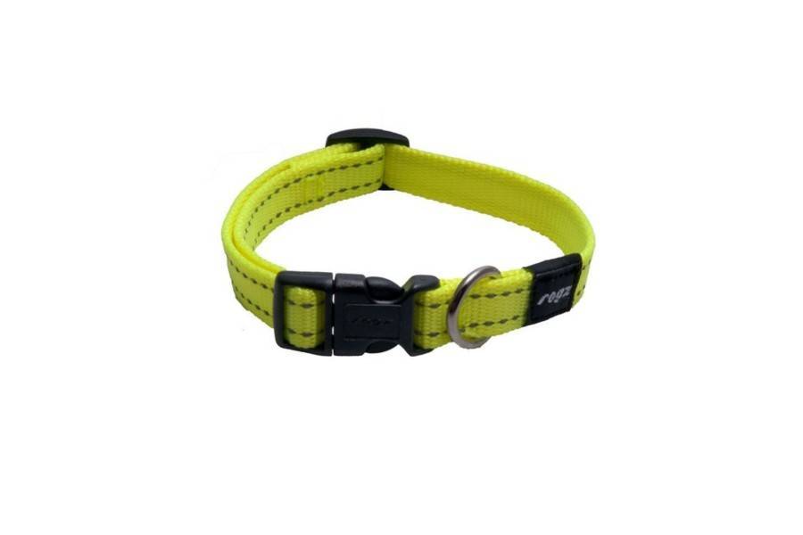 Collar Rogz Classic Amarillo para perros | Calvet Animales y Plantas