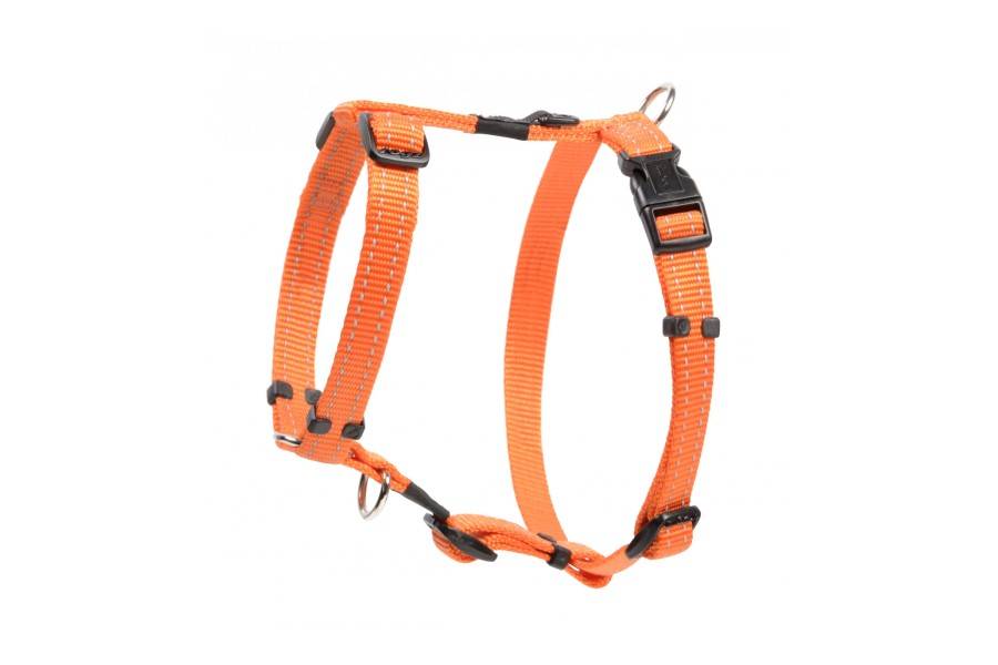 Petral Rogz Classic Taronja per gossos | Calvet Animals i Plantes