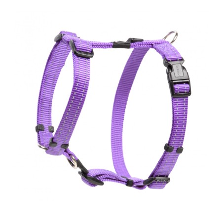 Petral Rogz Classic Lila per gossos | Calvet Animals i Plantes