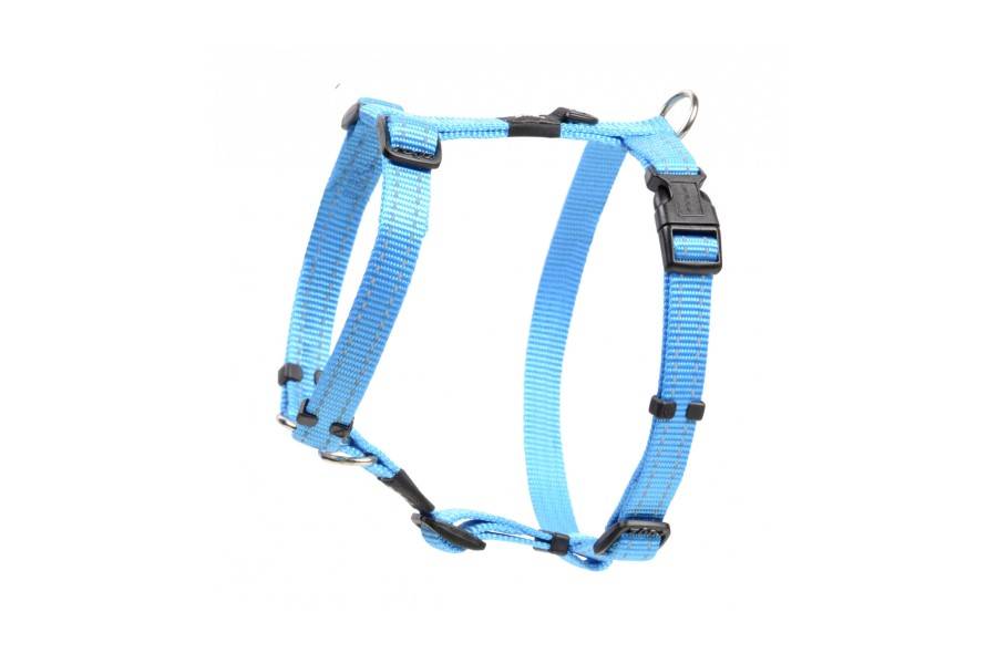 Petral Gogz Classic Blau Cel per gossos | Calvet Animals i Plantes