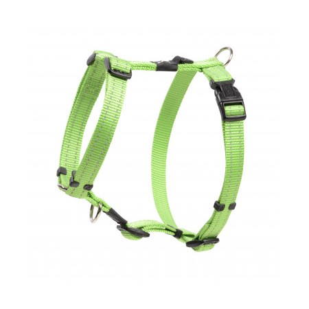 Arnés Rogz Classic Verde para perros | Calvet Animales y Plantas