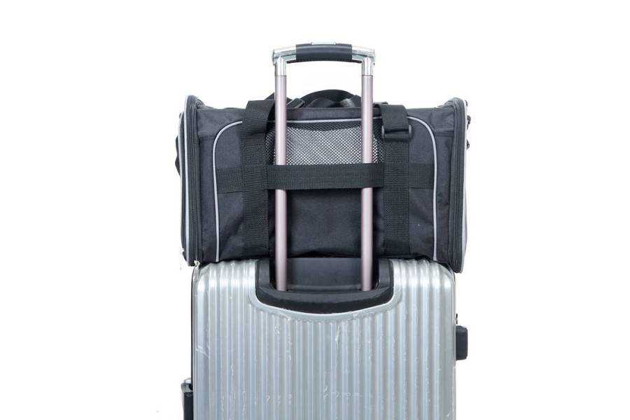 Transportín Freedog Orly 45x28 Negro para gatos | Calvet Animales y Plantas