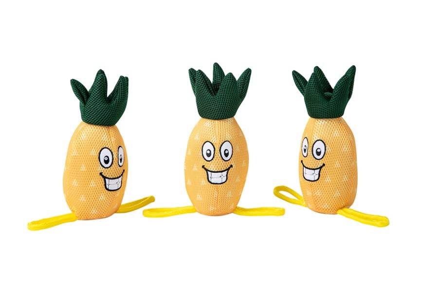 Juguete Perro Piña Flotante 10x25 Cm para perros | Calvet Animales y Plantas