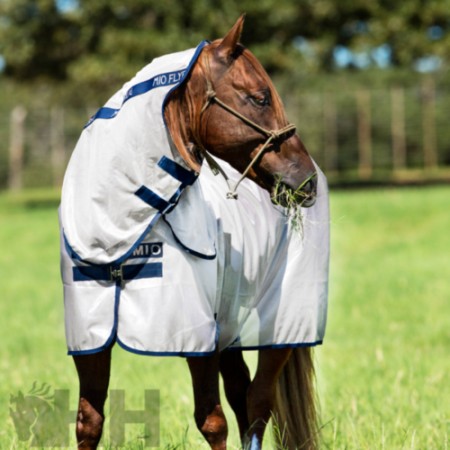 Manta Caballo Verano Antimoscas Cuello MIO Gris | Equestrian | Calvet