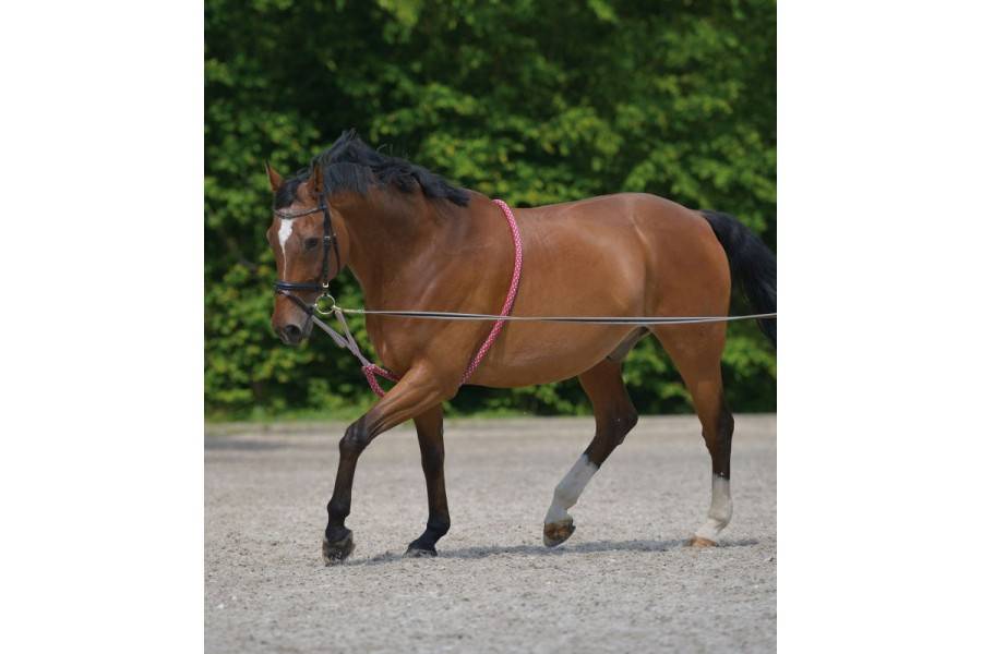 Sistema Donar Corda Negre | Equestrian | Calvet Animals i Plantes