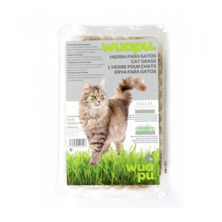 Herba Gatera Wuapu per gats | Calvet Animals i Plantes