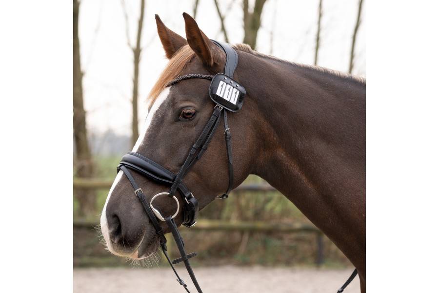 Números Competició QHP Negre 2 Packs | Equestrian | Calvet Animals i Plantes