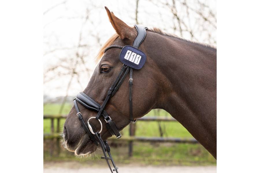 Números Competición QHP Shine Azul Marino | Equestrian | Calvet Animales y