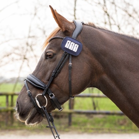 Números Competició QHP Shine Blau Marí | Equestrian | Calvet Animals i Plantes