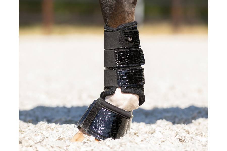 Campanas QHP Djune Negra | Equestrian | Calvet Animales y Plantas