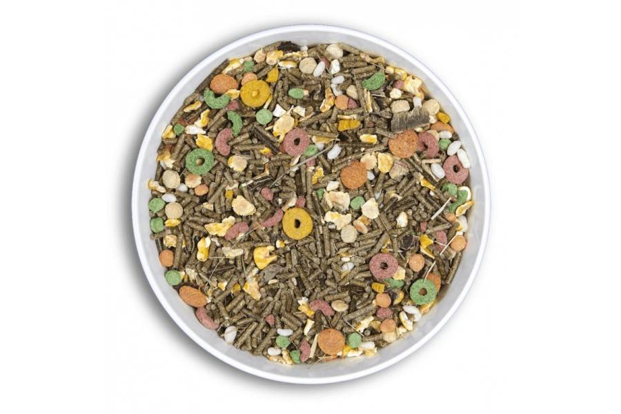 Cunipic Premium Conill Nan Junior | Calvet Animals i Plantes