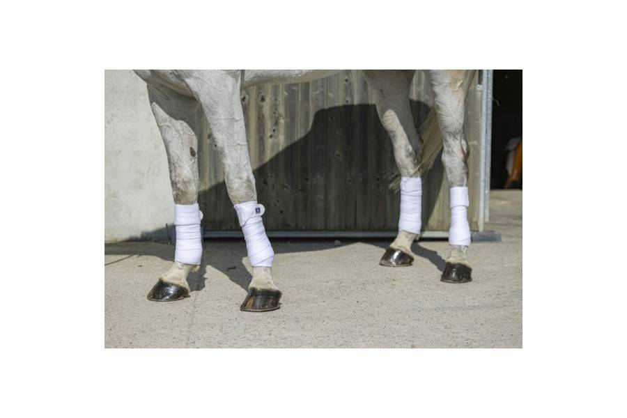 Vendas Polar Riding World Eco Blanca (4) | Calvet Animales y