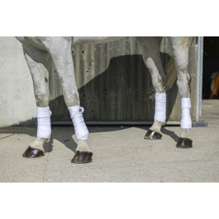 Vendas Polar Riding World Eco Blanca (4) | Calvet Animales y