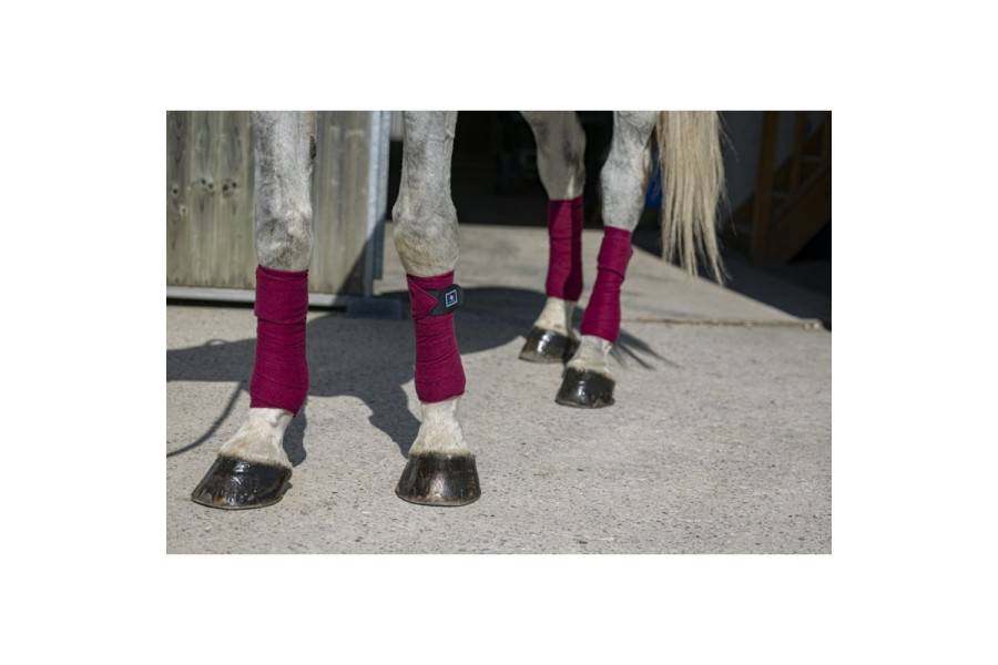 Vendas Polar Riding World Eco Burdeos (4) | Calvet Animales y