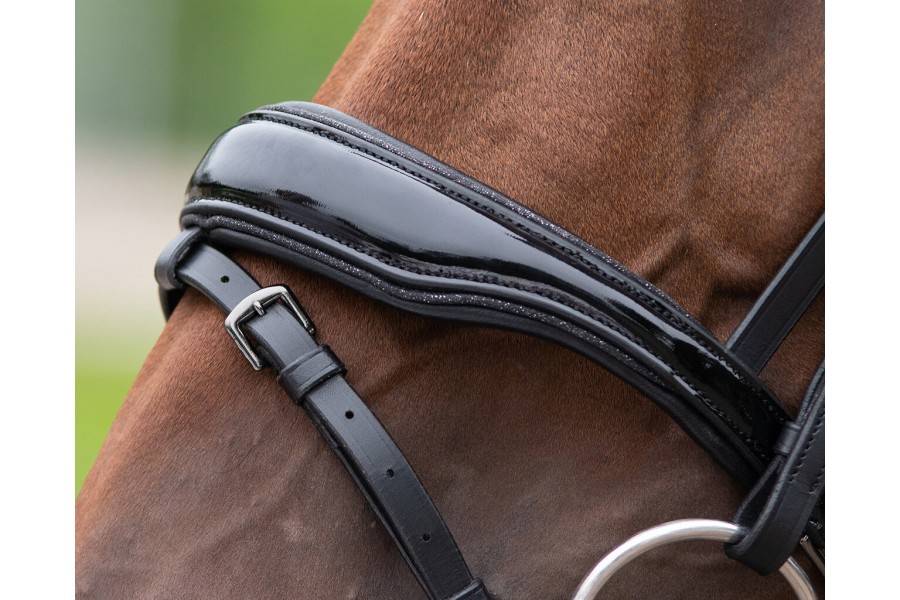 Moralla Muntar QHP Orlando Negra | Calvet Animals i Plantes