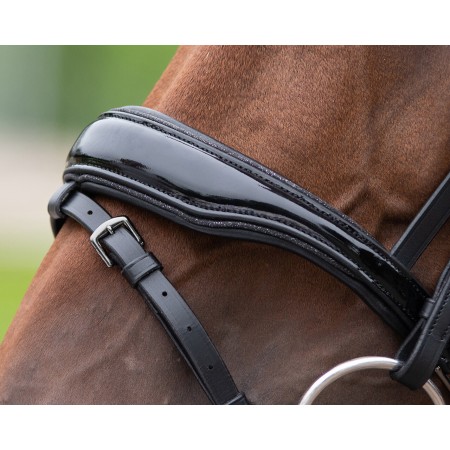 Moralla Muntar QHP Orlando Negra | Calvet Animals i Plantes