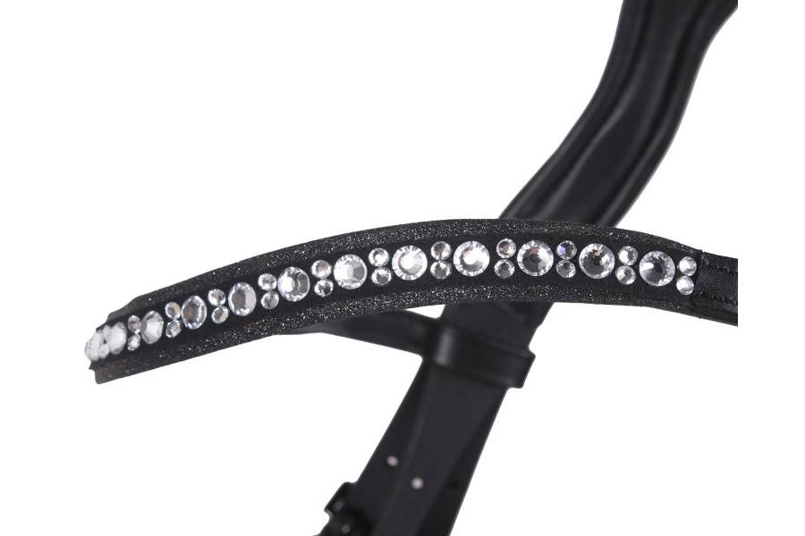 Moralla Muntar QHP Orlando Negra | Calvet Animals i Plantes