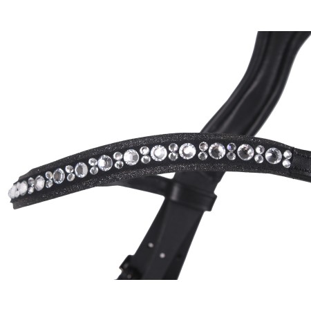 Moralla Muntar QHP Orlando Negra | Calvet Animals i Plantes