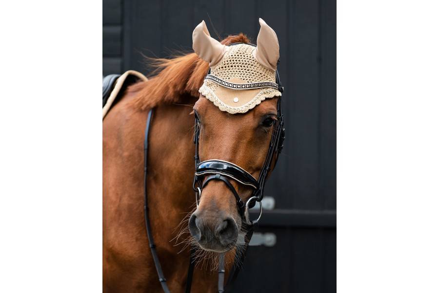 Brida Montar QHP Orlando Negra/Beige | Calvet Animales y Plantas