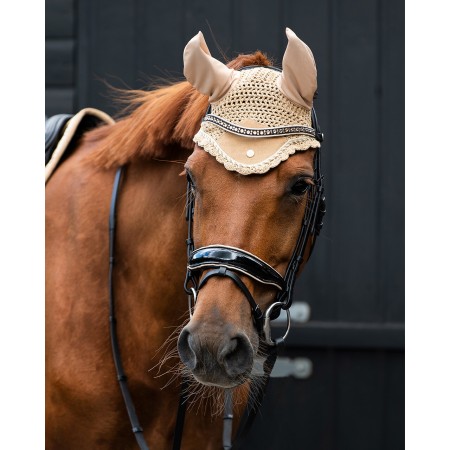 Brida Montar QHP Orlando Negra/Beige | Calvet Animales y Plantas