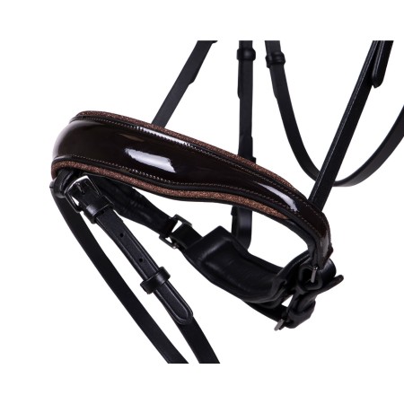 Brida Montar QHP Orlando Negra/Marrón | Calvet Animales y