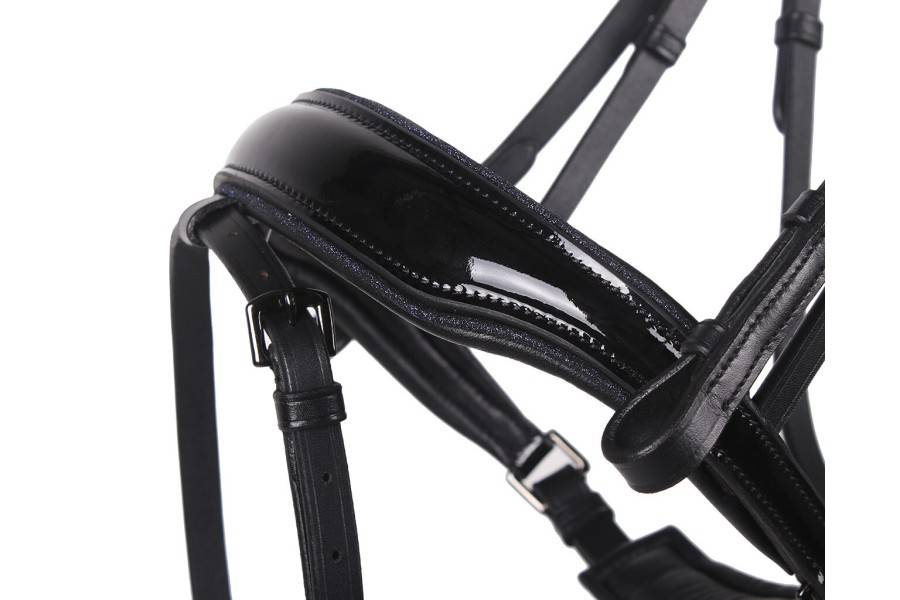 Brida Montar QHP Orlando Negra/Azul Marino | Calvet Animales y