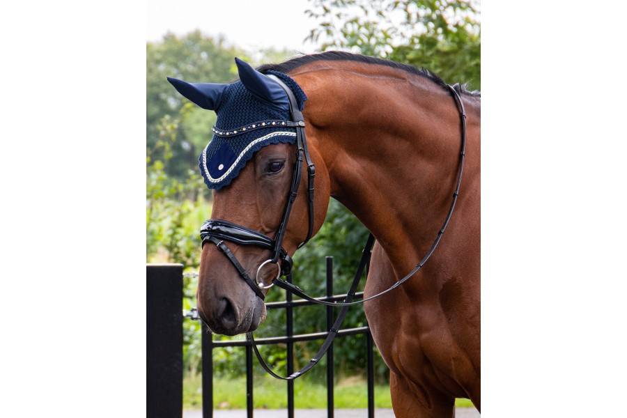 Brida Montar QHP Orlando Negra/Azul Marino | Calvet Animales y