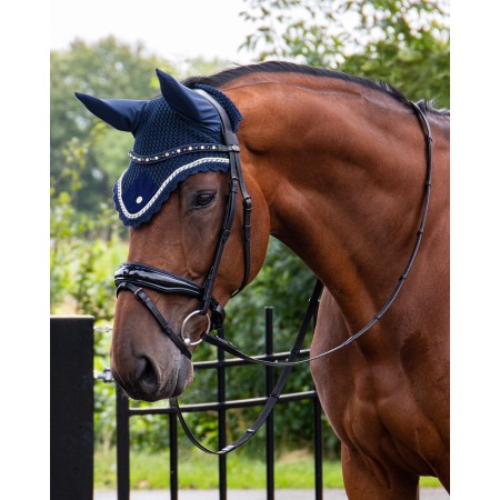 Brida Montar QHP Orlando Negra/Azul Marino | Calvet Animales y