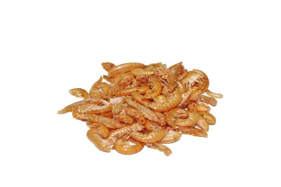 Prodac Tartafood Gammarus | Calvet Animales y Plantas