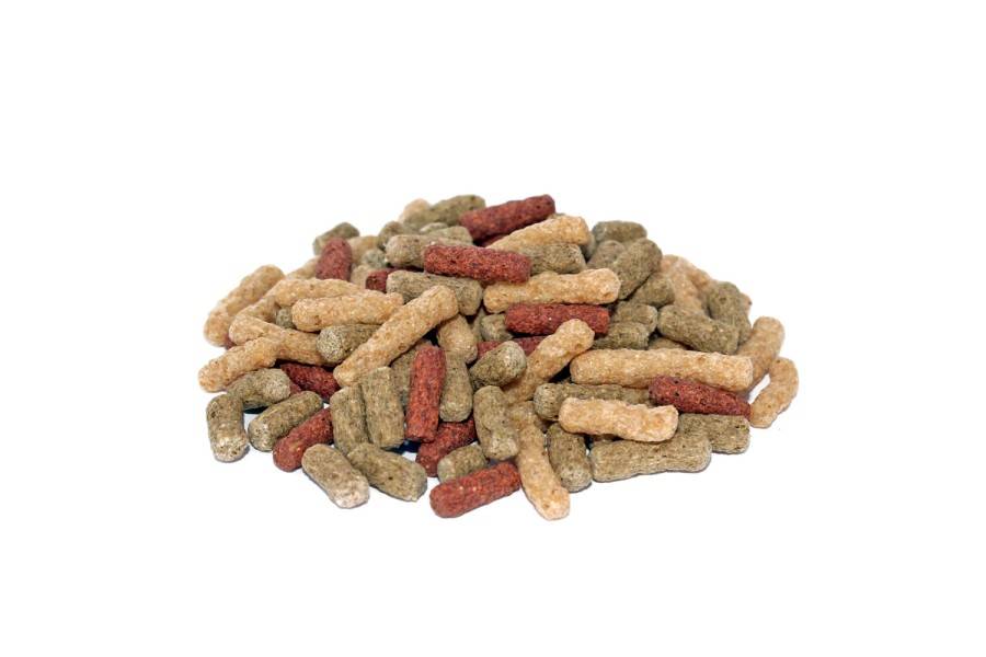 Prodac Tetrafood Pellet Adult | Calvet Animales y Plantas