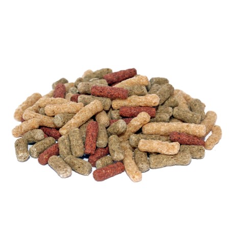 Prodac Tetrafood Pellet Adult | Calvet Animales y Plantas
