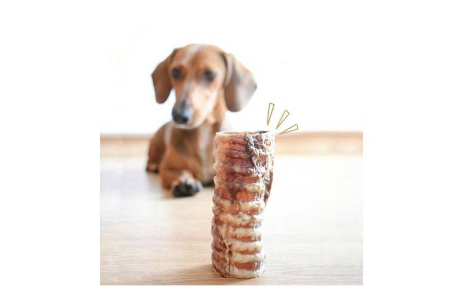 Tráquea De Ternera Hobbit Alf | Calvet Animales y Plantas