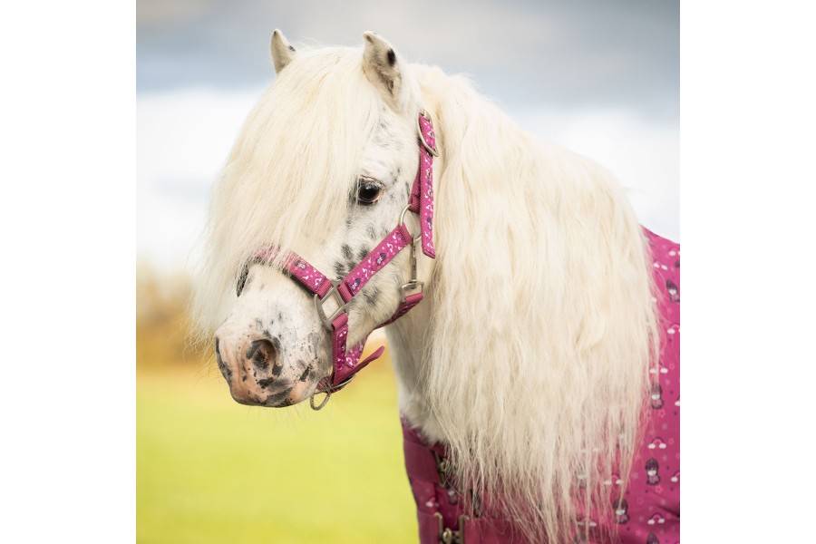 Cabezada Cuadra QHP Sterrin Popping | Calvet Animales y Plantas