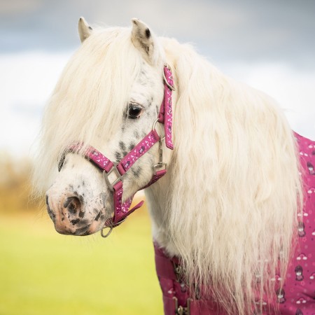 Cabezada Cuadra QHP Sterrin Popping | Calvet Animales y Plantas
