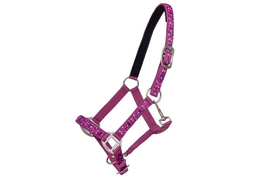 Cabezada Cuadra QHP Sterrin Popping | Calvet Animales y Plantas