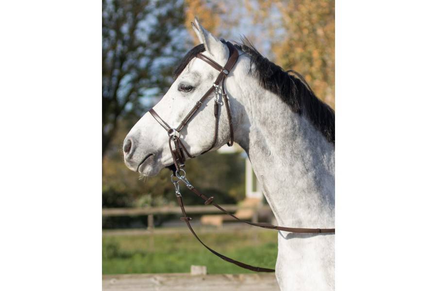 Morralla Muntar QHP Ceto Negra | Calvet Animals i Plantes