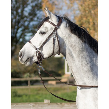 Brida Montar QHP Ceto Negra | Calvet Animales y Plantas