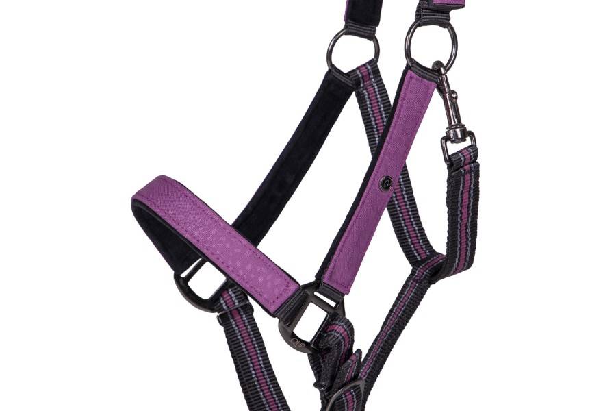 Cabezada Cuadra QHP + Ramal Collection Gemstone | Calvet