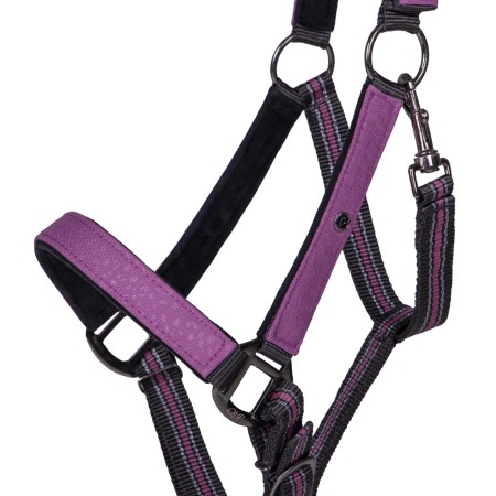 Morralla Quadra QHP + Ramal Collection Gemstone | Calvet Animals i Plantes