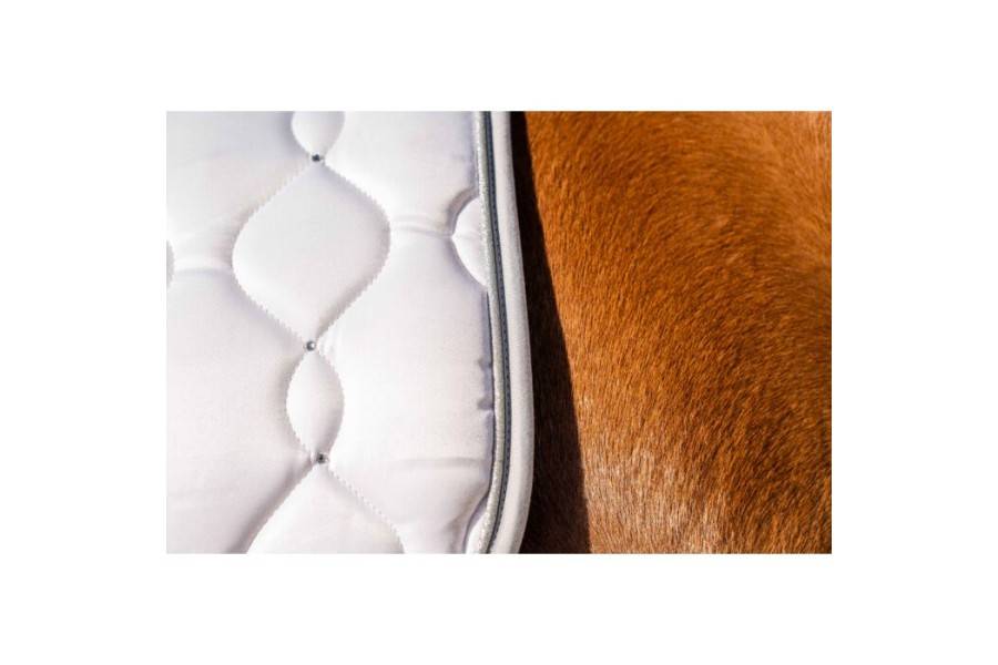 Suador Doma HKM Dressage Competition Blanc/Plata | Calvet Animals i Plantes
