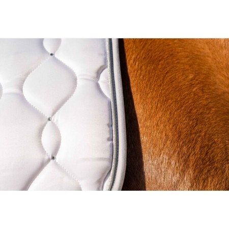 Suador Doma HKM Dressage Competition Blanc/Plata | Calvet Animals i Plantes