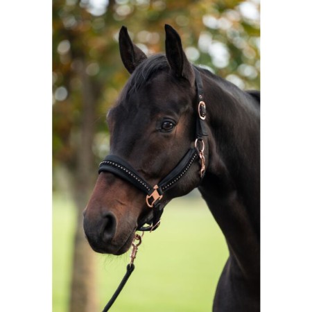 Morralla Quadra HKM Berry Negra/Or Rosa | Calvet Animals i Plantes 2