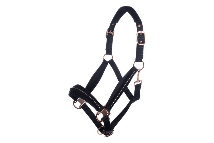 Cabezada Cuadra HKM Berry Negra/Oro Rosa | Calvet Animales y