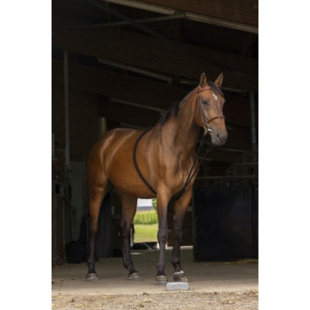 Sistema Dar Cuerda Norton Suave Negro/Azul Marino | Calvet