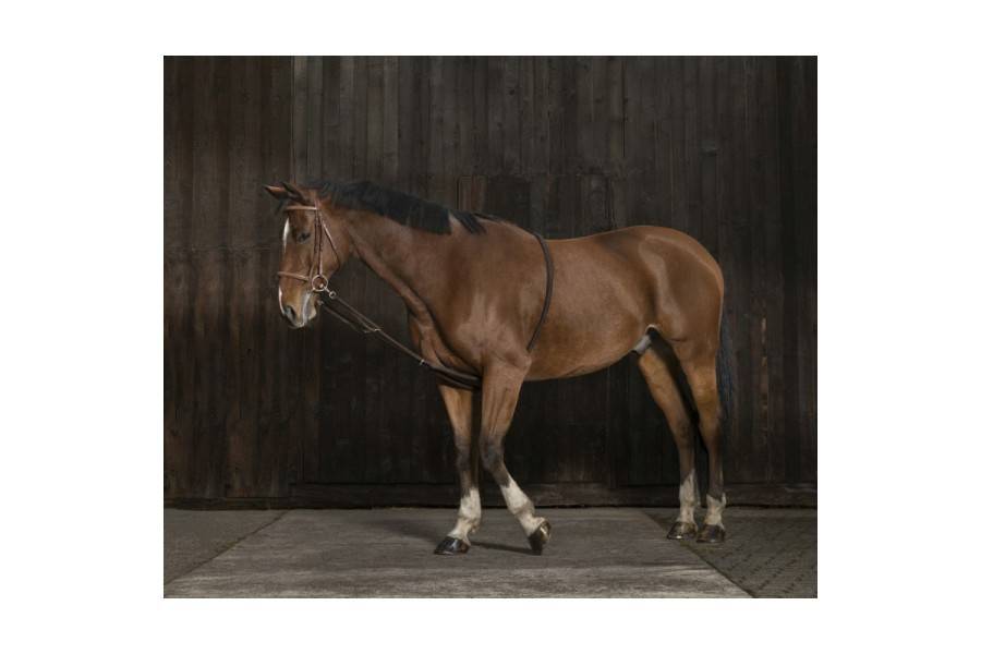 Sistema Dar Cuerda Norton Suave Negro/Azul Marino | Calvet