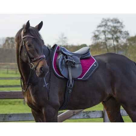 Suador Us General QHP Shiva Burdeos/Negre | Calvet Animals i Plantes