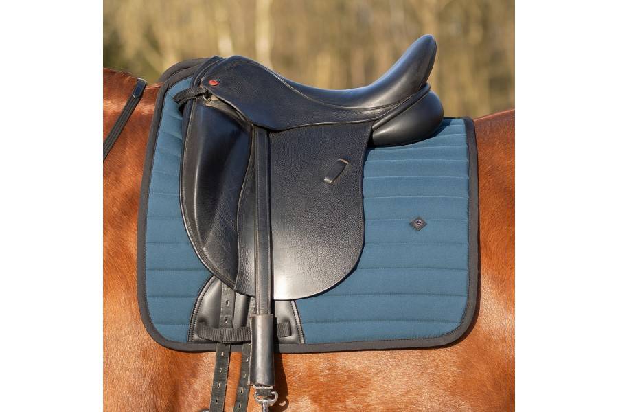 Sudadero Doma QHP Salerno Teal | Calvet Animales y Plantas