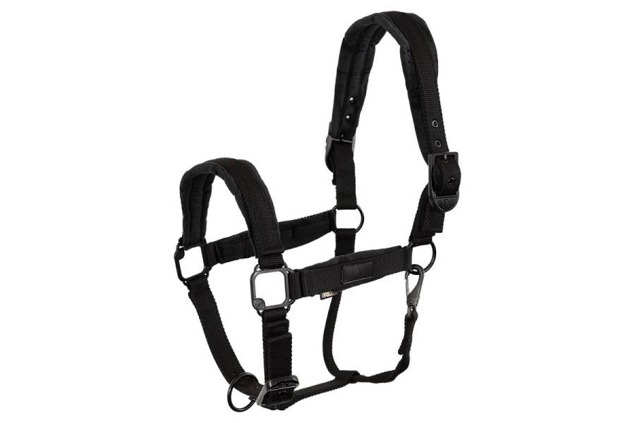 Cabezada Cuadra BR Flint Meteorite | Calvet Animales y Plantas