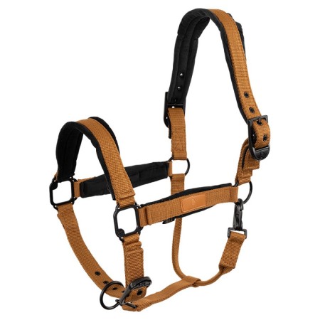 Cabezada Cuadra BR Flint Cathay Spice | Calvet Animales y